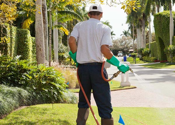 About West Enfield ME Pest Control Pros
